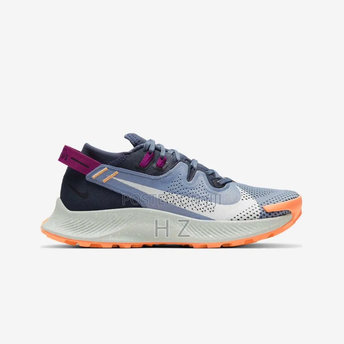 Nike Pegasus Trail 2