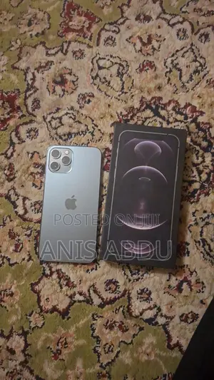 Apple iPhone 12 Pro Max 256 GB Gray