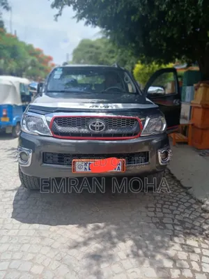 Toyota Hilux 2010 Gray