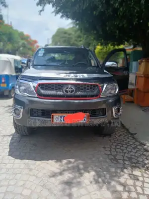 Toyota Hilux 2010 Gray