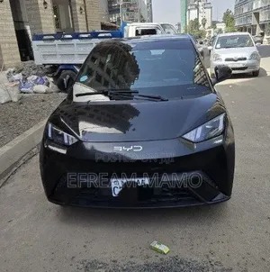BYD Seagull 2025 Black