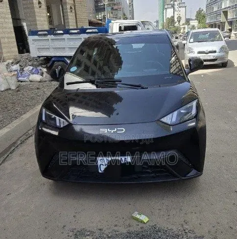 BYD Seagull 2025 Black