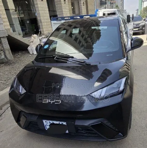 BYD Seagull 2025 Black