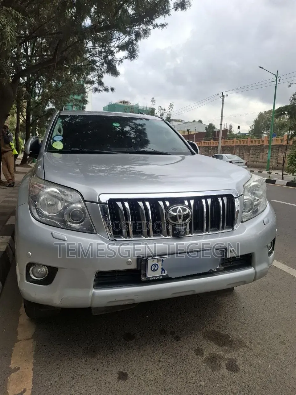 Toyota Land Cruiser 2012 Silver
