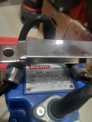 Swege Pump 2hp