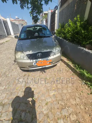 Toyota Corolla Sedan 2001 Gray