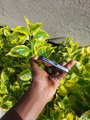 Samsung Galaxy A16 128 GB Black
