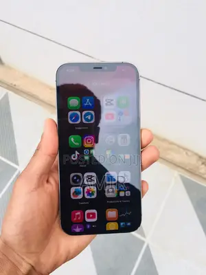 Apple iPhone 12 Pro Max 128 GB Silver