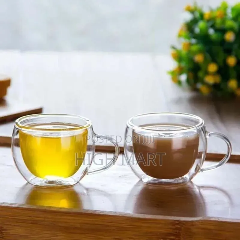 Double Wall Glass Cup