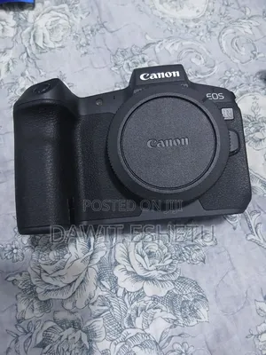 Canon Eos R With Rf 24-105 Lense