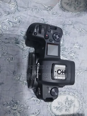 Canon Eos R With Rf 24-105 Lense