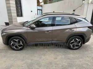 Hyundai Tucson Limited 2022 Gray