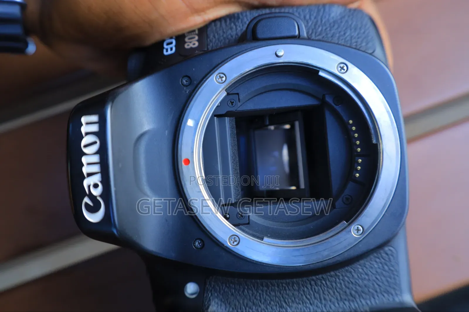Canon 80d Camera