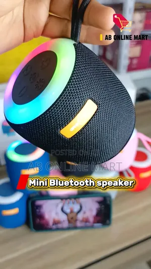 Portable Mini Speaker