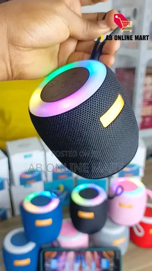 Portable Mini Speaker