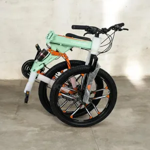 Foldable Bike