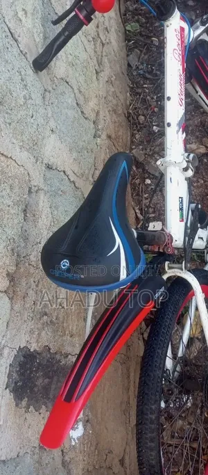 Bicycle Range Rover