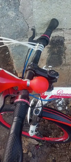 Bicycle Range Rover