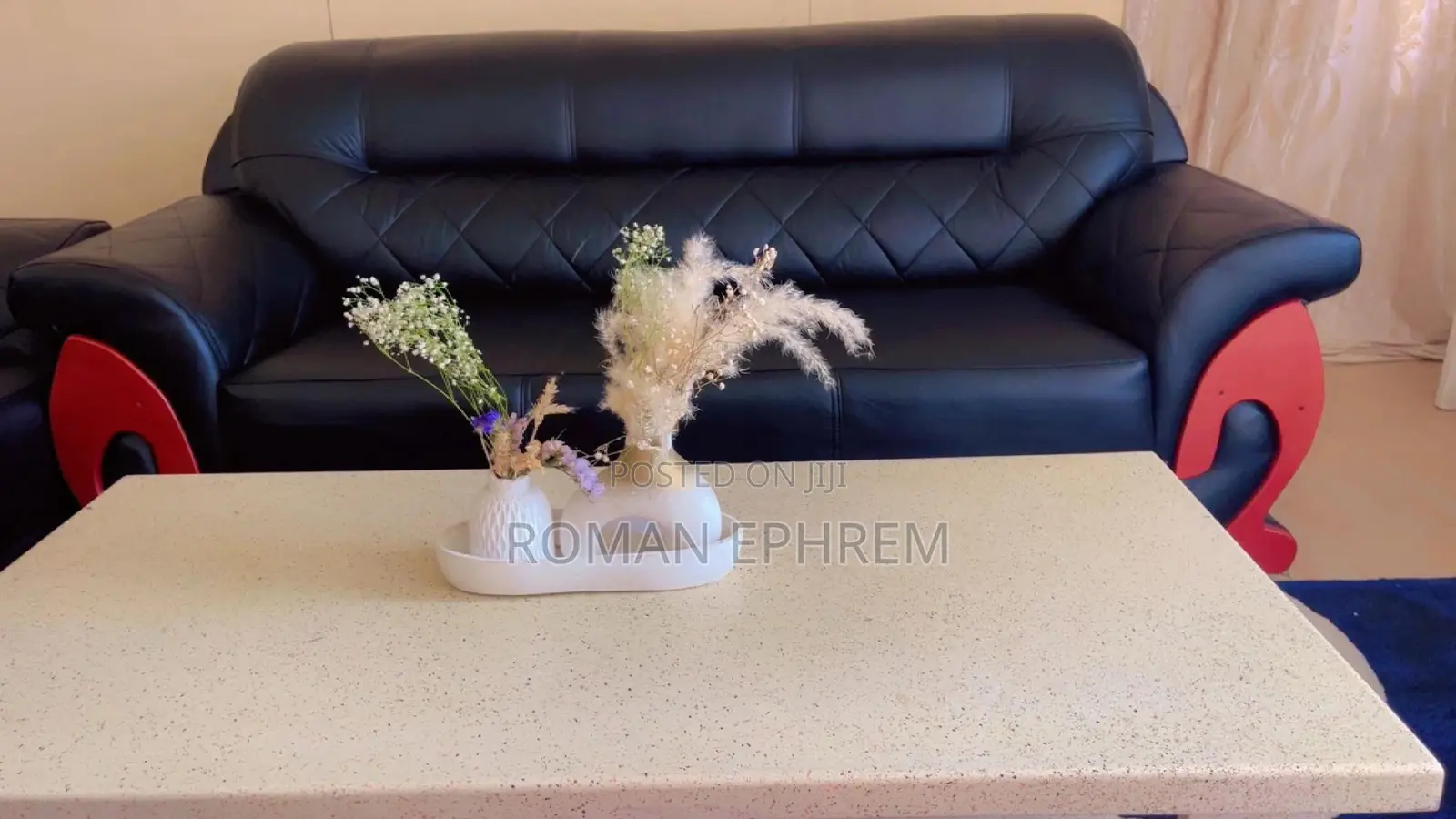 Sofa and Center Table