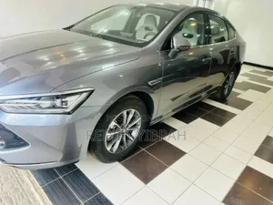 New BYD Qin Plus DM-i 2024 Gray