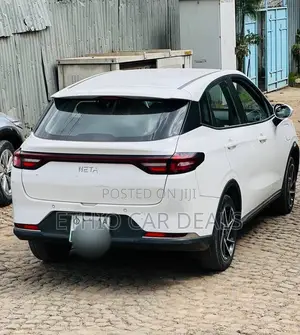 Hozon Neta Aya 2024 White