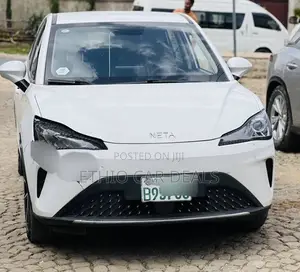 Hozon Neta Aya 2024 White