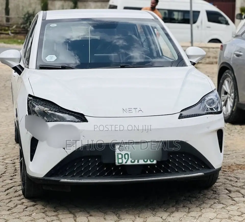 Hozon Neta Aya 2024 White
