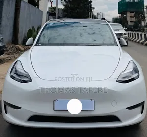 Tesla Model Y 2023 White