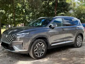 Hyundai Santa Fe 2022 Gray