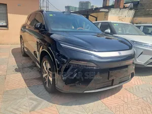 New BYD Tang DM-i 2025 Black