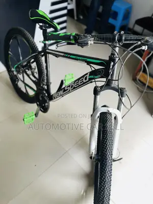 Mountain Bicycle’S