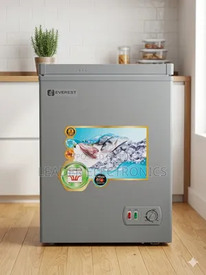 Everest Chest Freezer Ecr-170 – Original Free Delivery Addis Ababa