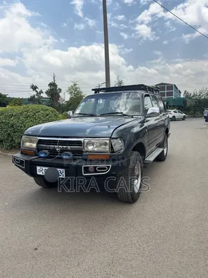 Toyota Land Cruiser 1995 Gray