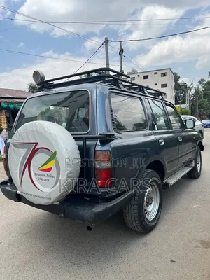 Toyota Land Cruiser 1995 Gray