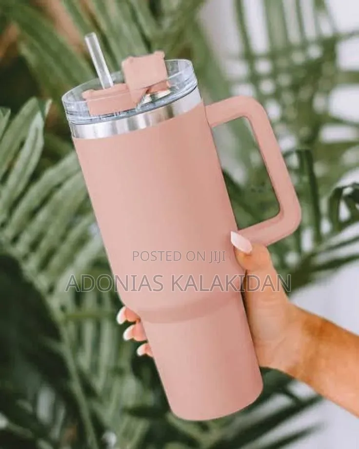 Double Layer Stainless Still Isolated Tumblers With Straw (Travel Cup)