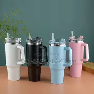 Double Layer Stainless Still Isolated Tumblers With Straw (Travel Cup)