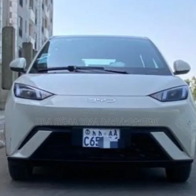 BYD Seagull 2025 White