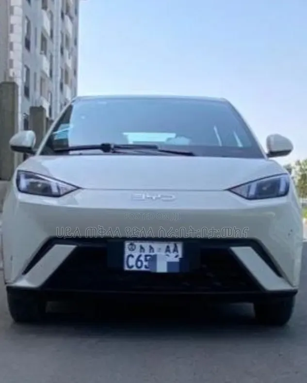 BYD Seagull 2025 White