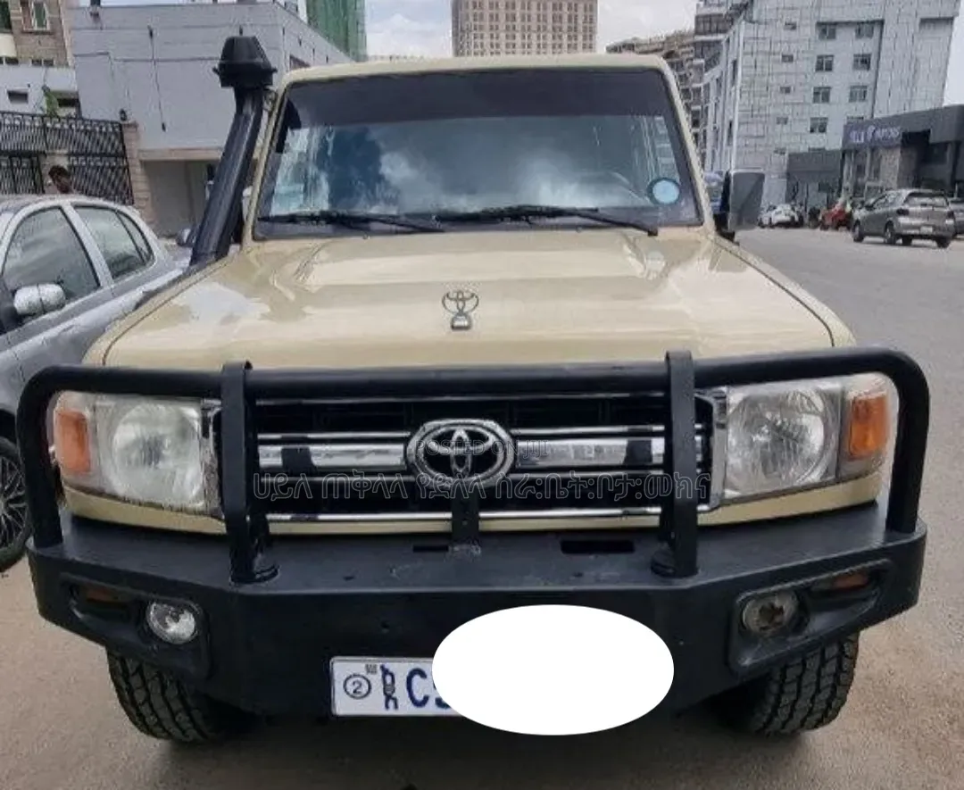 Toyota Land Cruiser 2013 Gold
