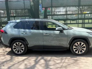 Toyota RAV4 2019 Green