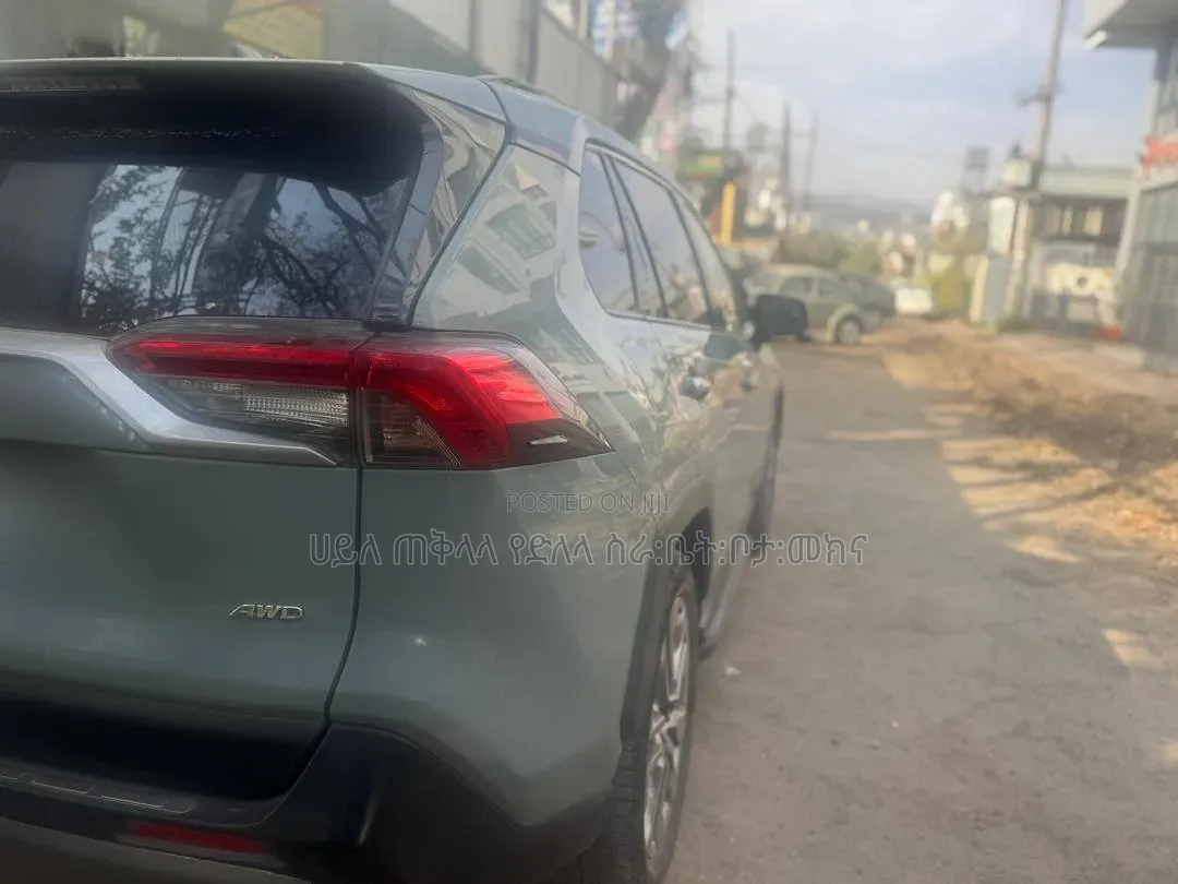 Toyota RAV4 2019 Green