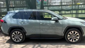 Toyota RAV4 2019 Green