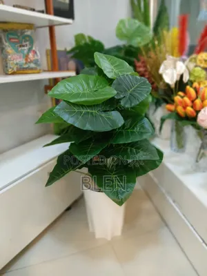 Artfical Plant