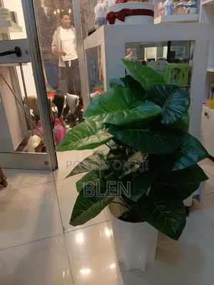 Artfical Plant