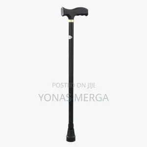 Walking Stick Common Prescribed Physiotherapy Clinical Practice Elder
