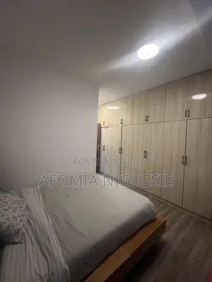 Furnished 3bdrm Apartment in Addis Ketema for sale