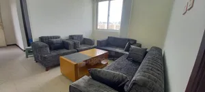 Slightly Used Sofa