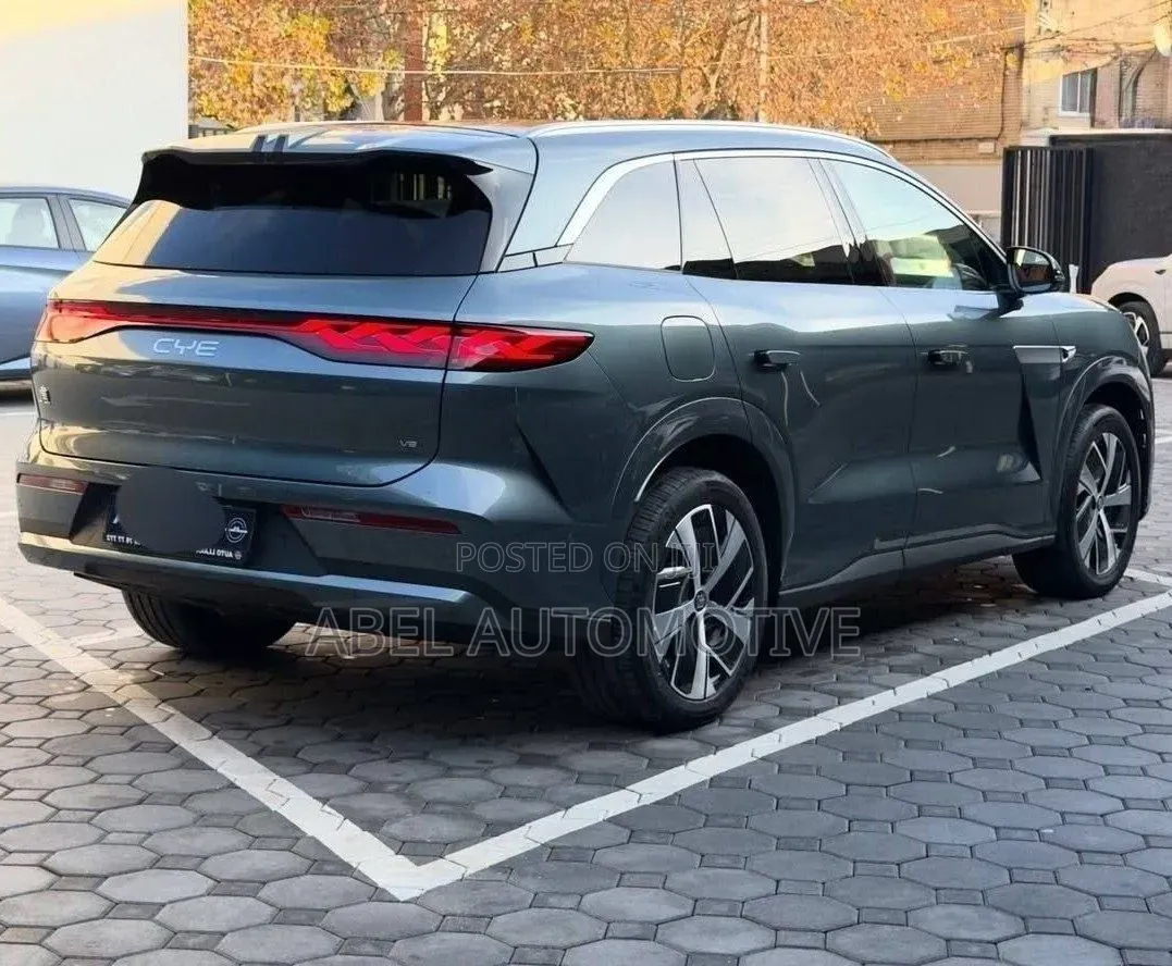 BYD Tang EV 2025 Gray