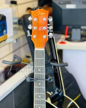 Semi Acustic Guitar Smiger