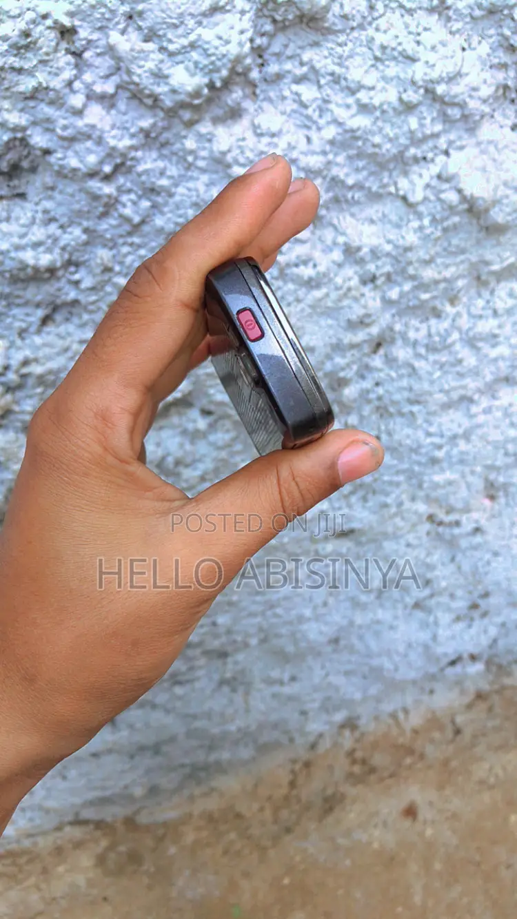 New Nokia E66 Gray